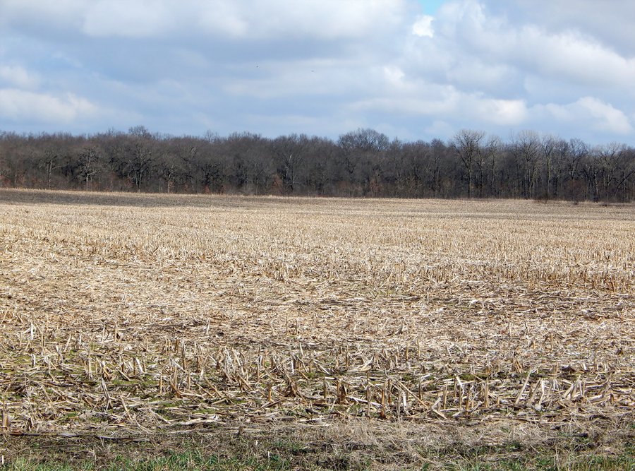 MAJOR LAND AUCTION - 313+/- ACRES OFFERED IN 7 TRACTS IN IROQUOIS COUNTY, ILLINOIS